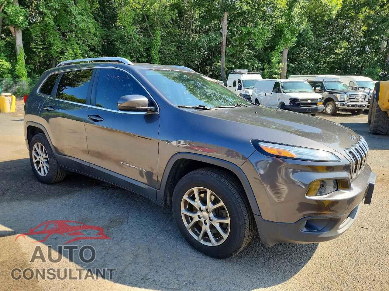 JEEP CHEROKEE 2018 - 1C4PJMLB3JD613210