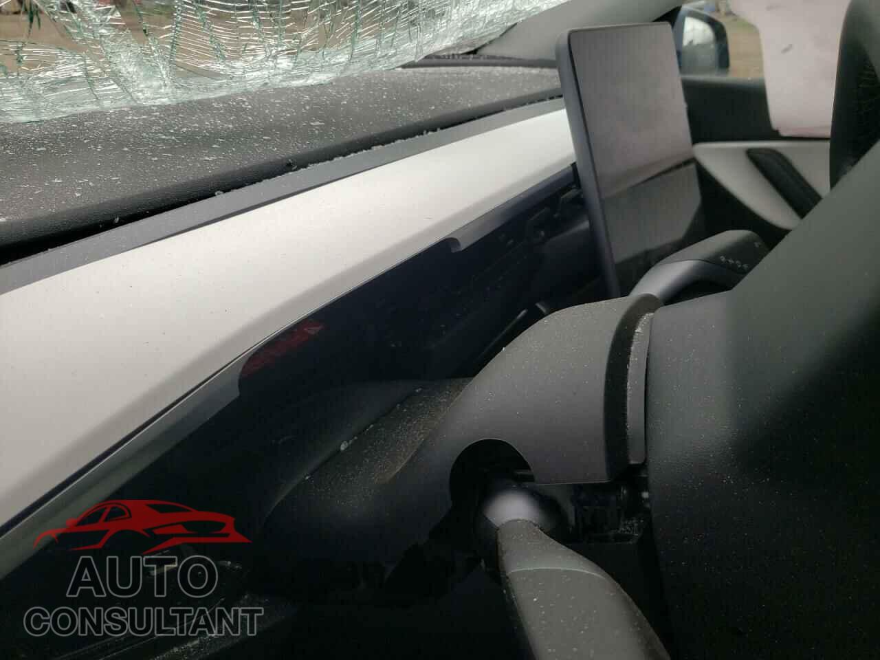 TESLA MODEL Y 2021 - 5YJYGDEEXMF095944