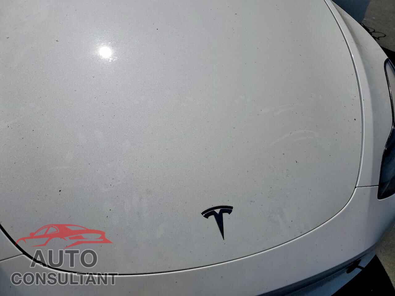 TESLA MODEL Y 2023 - 7SAYGDEE9PF621925