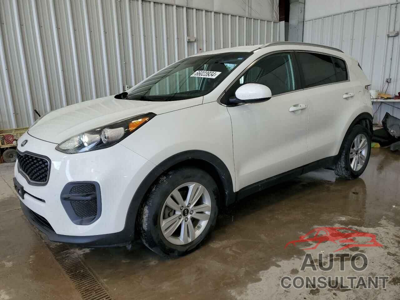 KIA SPORTAGE 2017 - KNDPM3AC0H7047061