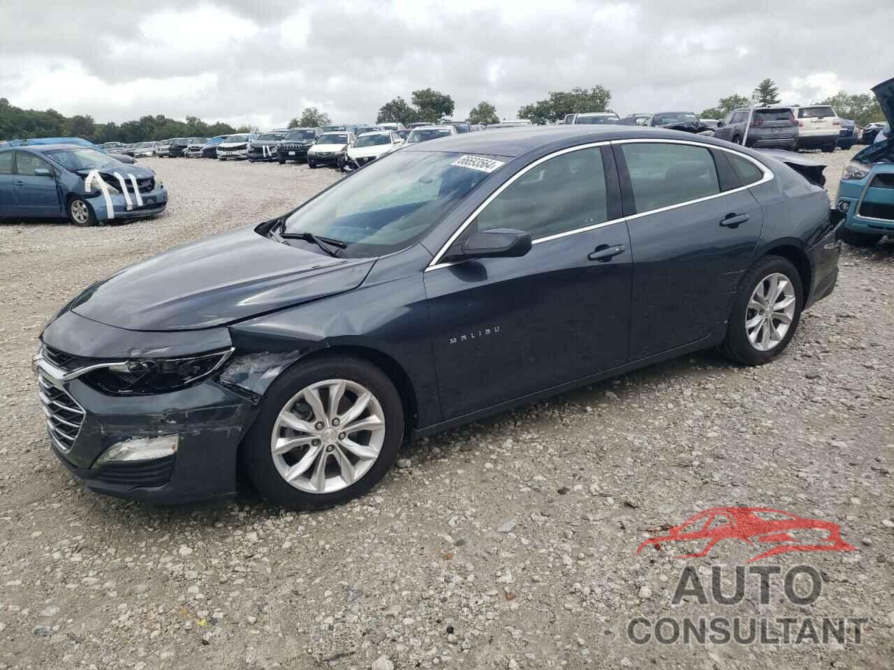 CHEVROLET MALIBU 2019 - 1G1ZD5ST3KF200802