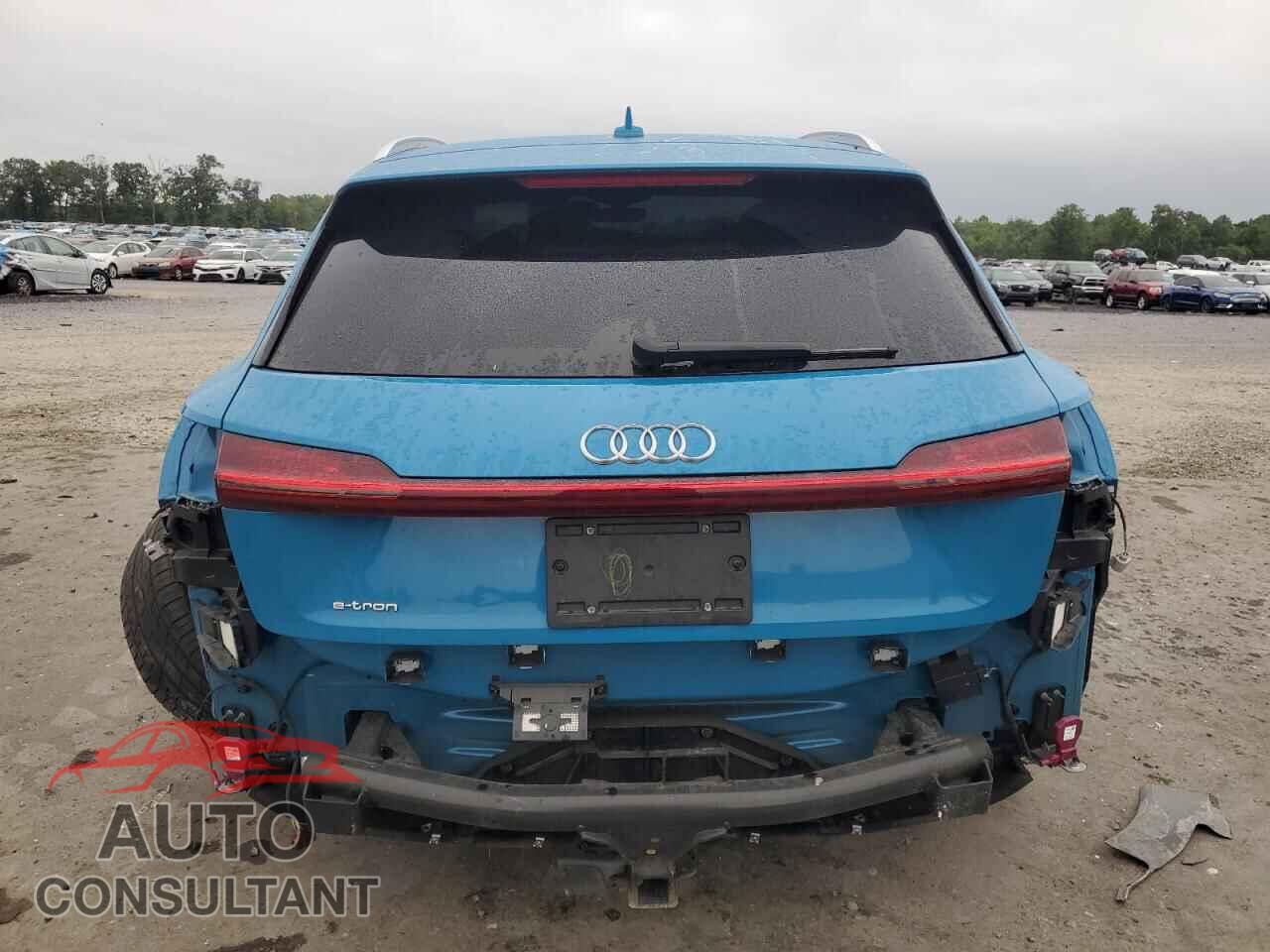 AUDI E-TRON 2019 - WA1VABGEXKB025103