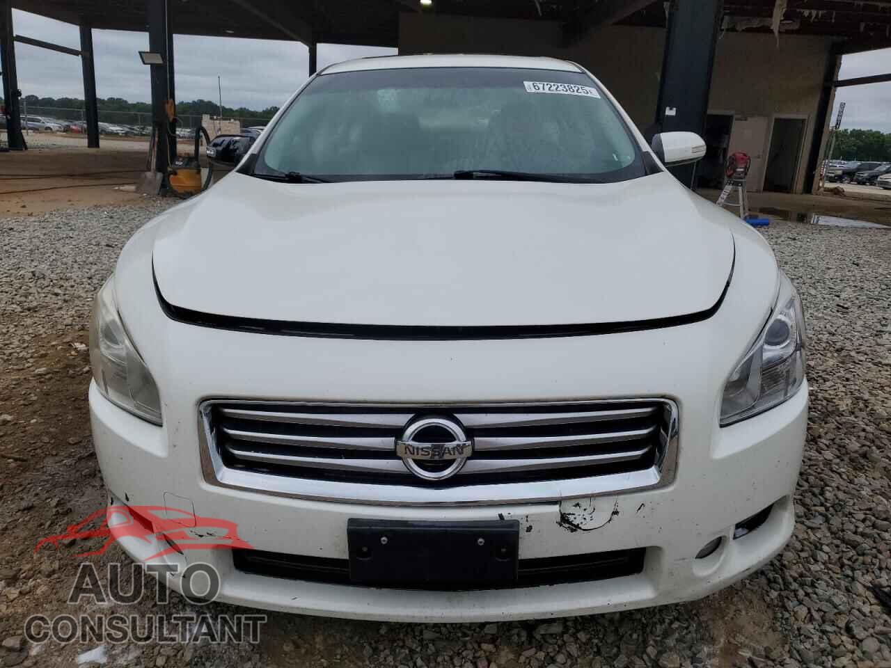 NISSAN MAXIMA 2013 - 1N4AA5AP7DC814151