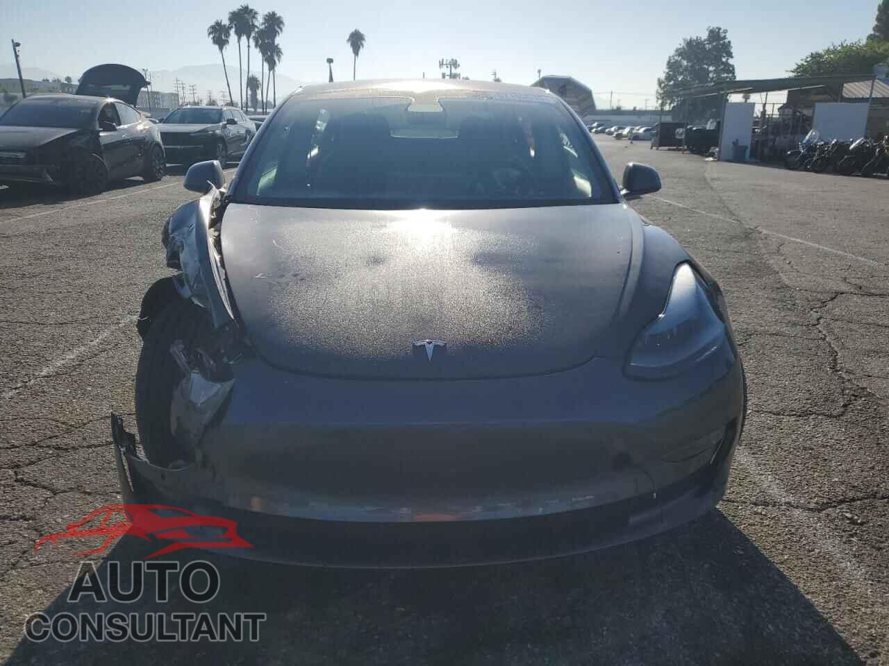 TESLA MODEL 3 2021 - 5YJ3E1EB7MF070942