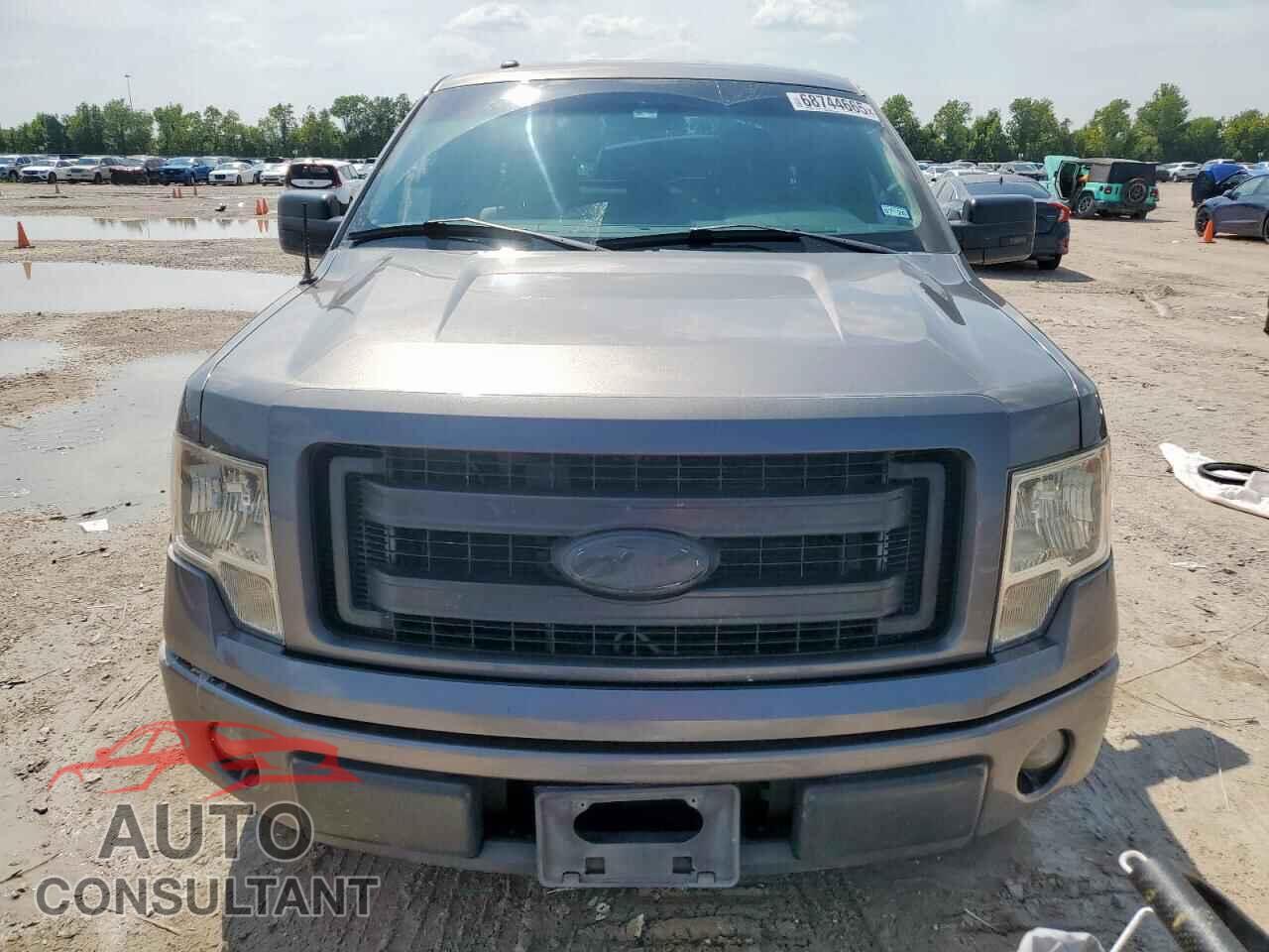 FORD F-150 2013 - 1FTFX1CF8DFD10542