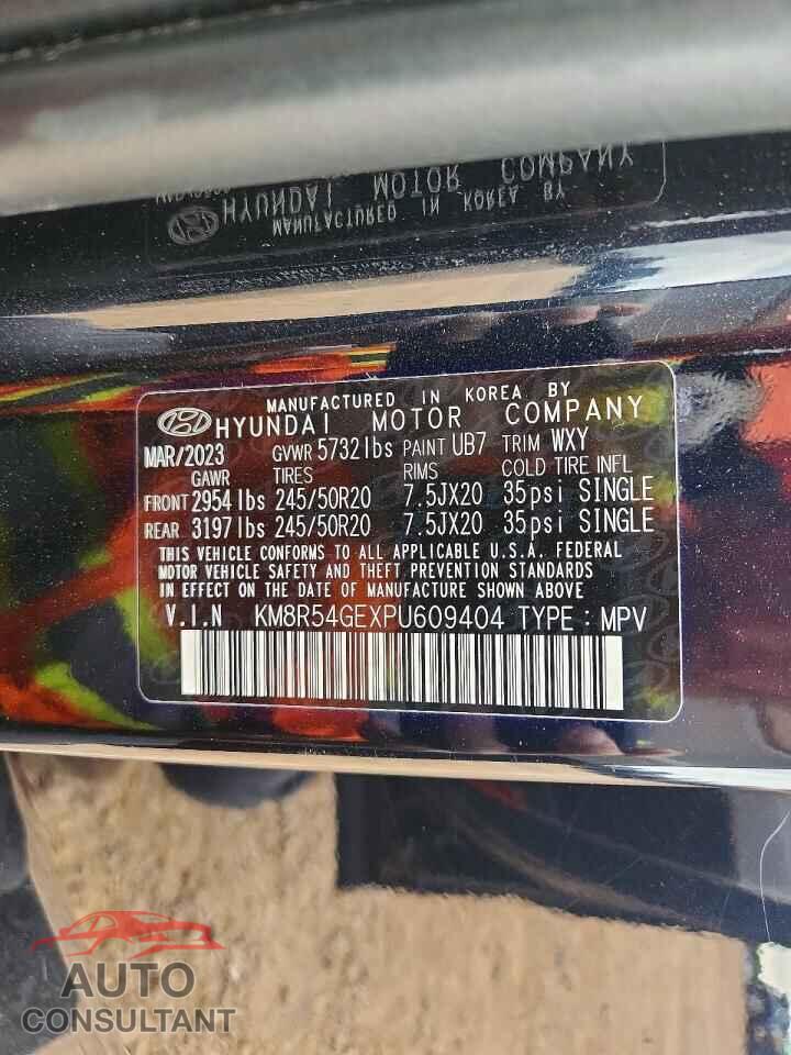 HYUNDAI PALISADE 2023 - KM8R54GEXPU609404
