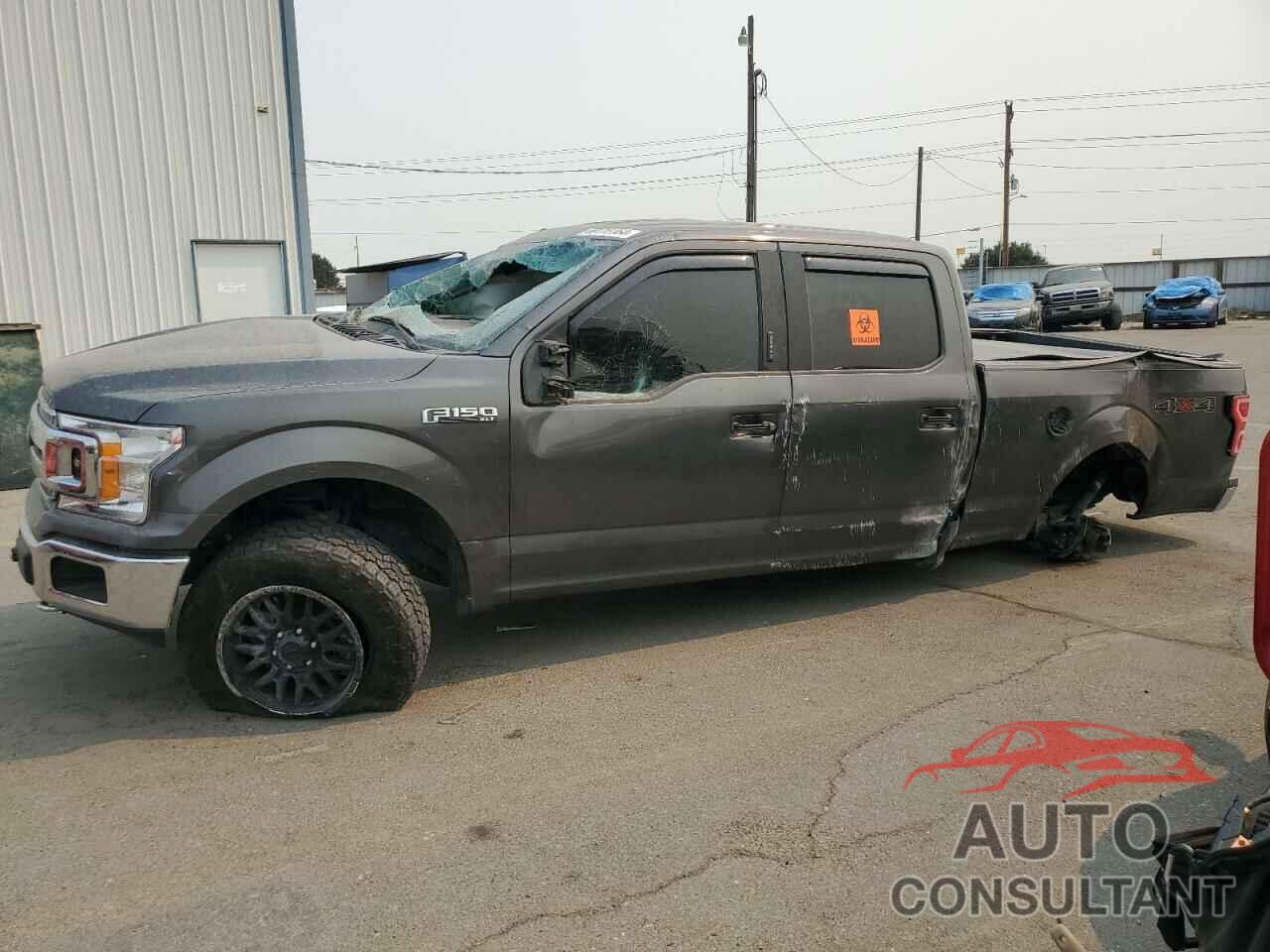 FORD F-150 2019 - 1FTFW1E41KKE06645