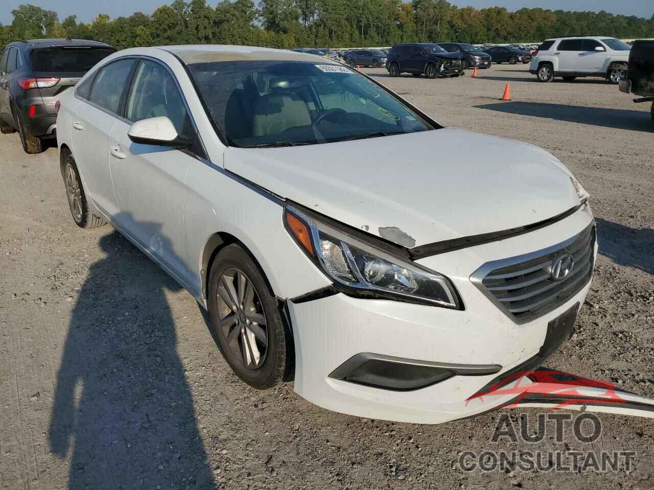 HYUNDAI SONATA 2016 - 5NPE24AF1GH364211