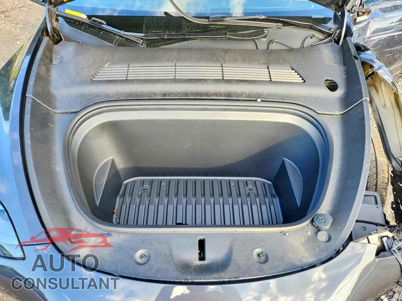 TESLA MODEL Y 2024 - 7SAYGDEE8RF988821