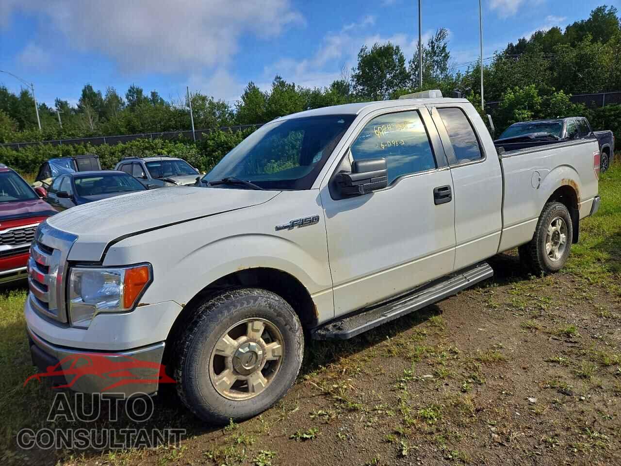 FORD F150 2012 - 1FTFX1EF7CFB88526
