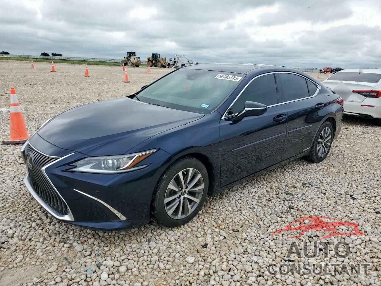 LEXUS ES300 2020 - 58AD21B12LU005726