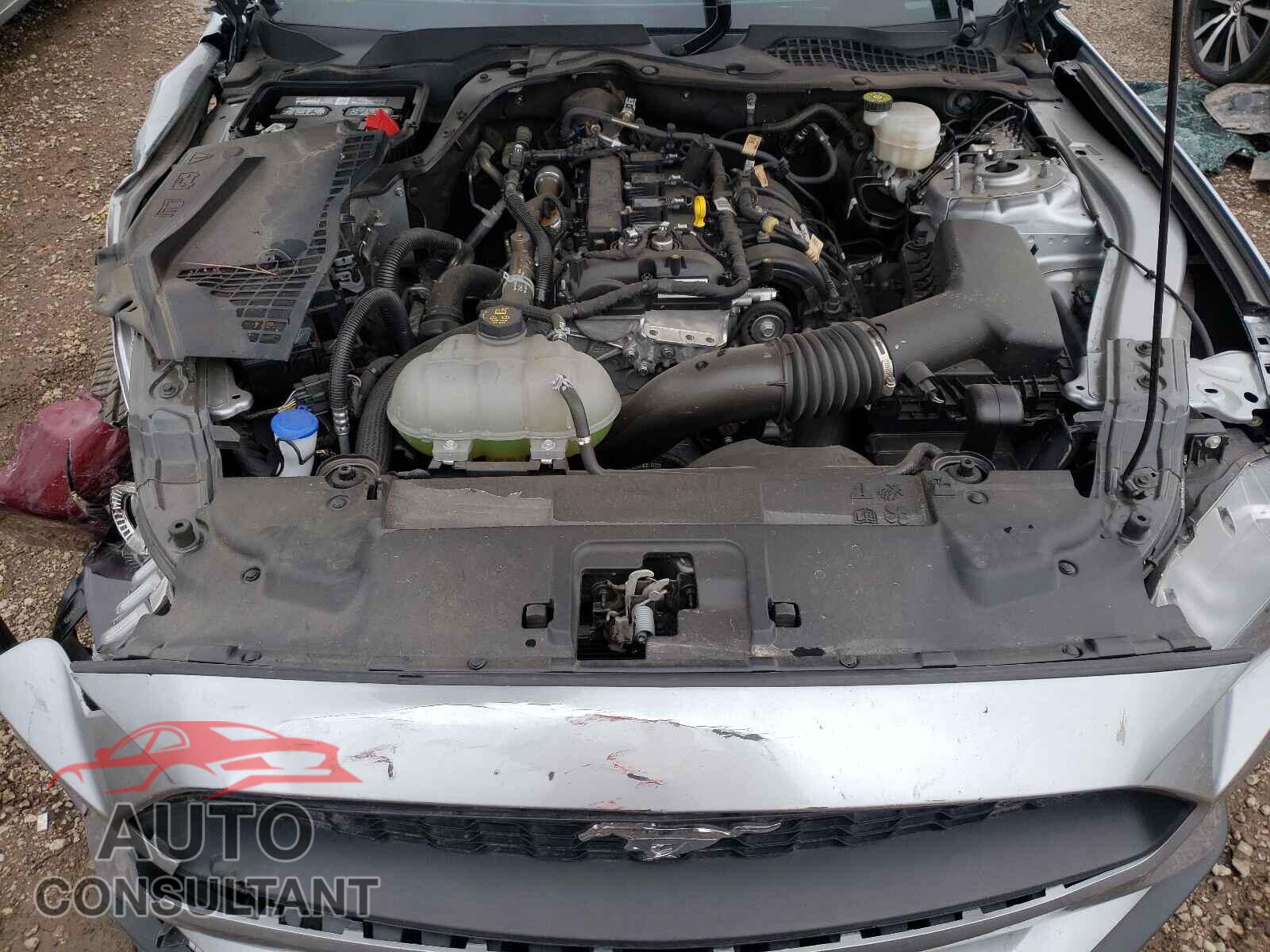 FORD MUSTANG 2021 - 1FA6P8TH7M5116056