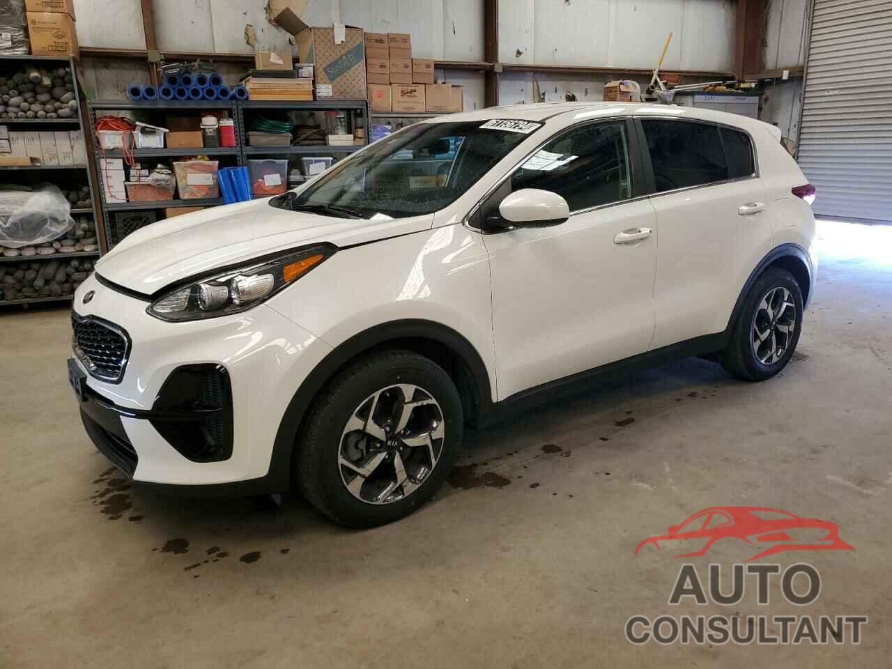 KIA SPORTAGE 2022 - KNDPM3AC4N7978738