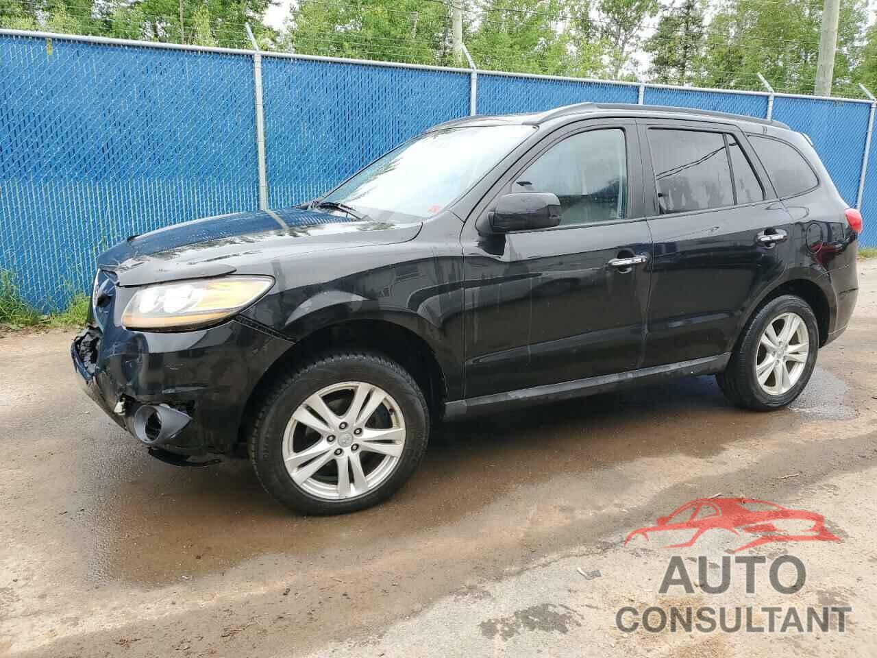 HYUNDAI SANTA FE 2010 - 5NMSHDAG3AH361602