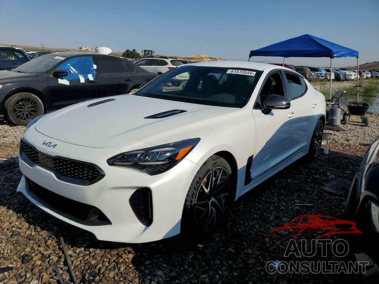 KIA STINGER 2022 - KNAE35LD4N6101732