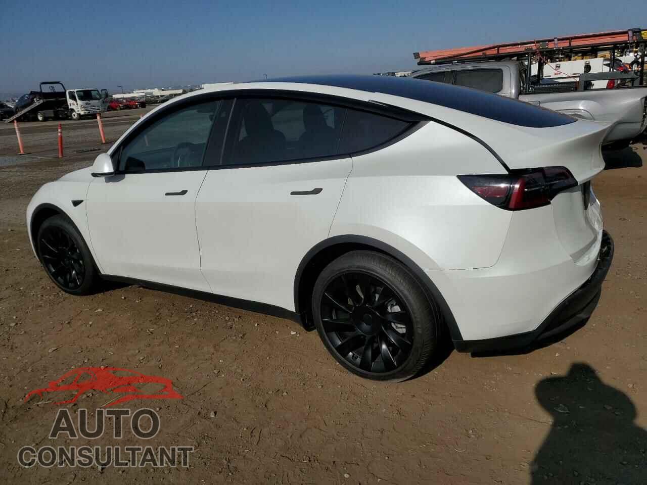 TESLA MODEL Y 2024 - 7SAYGAEE0RF015544