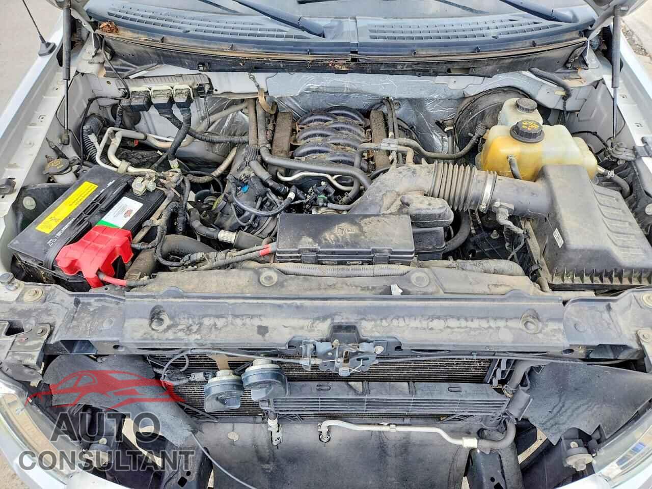 FORD F150 2013 - 1FTFW1CF4DFD40205