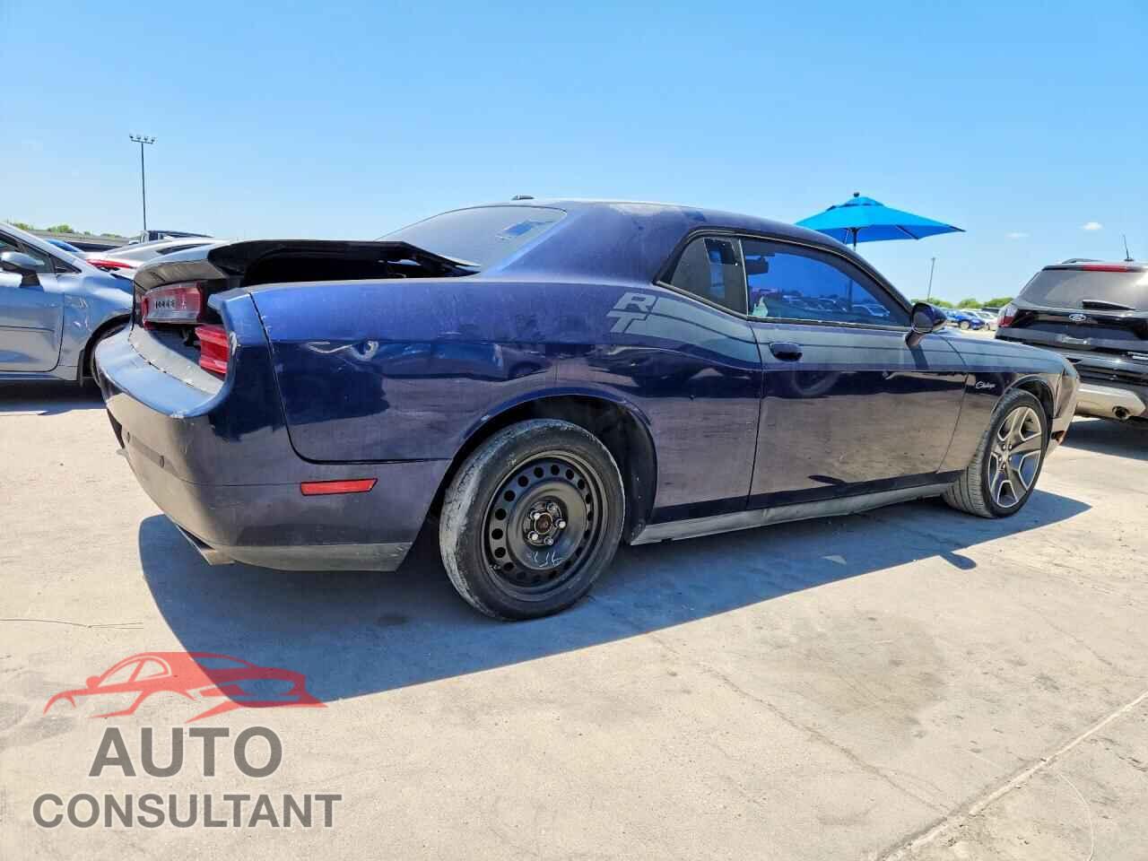 DODGE CHALLENGER 2013 - 2C3CDYBTXDH565997