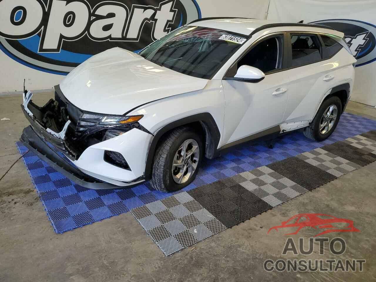 HYUNDAI TUCSON 2024 - 5NMJBCDE7RH387472