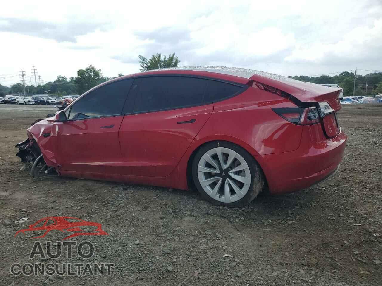 TESLA MODEL 3 2021 - 5YJ3E1EBXMF079781