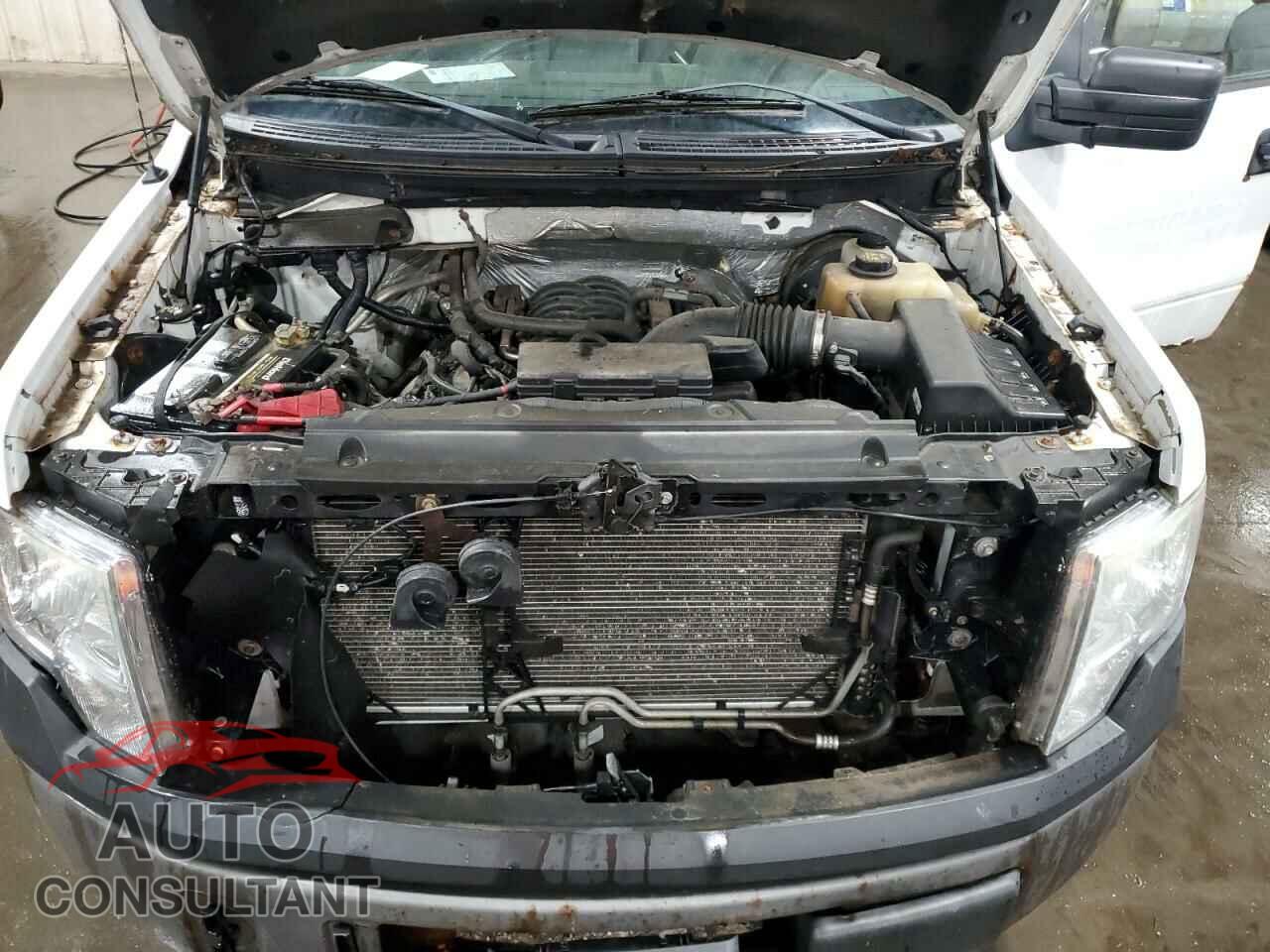 FORD F-150 2012 - 1FTFX1CF4CFA89892
