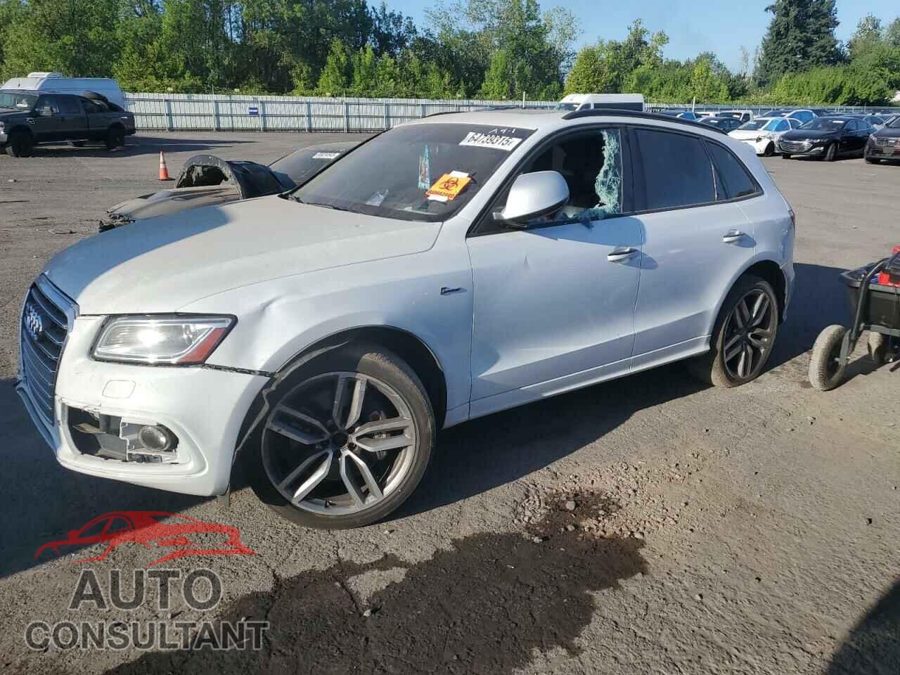 AUDI SQ5 2015 - WA1CGAFP9FA016357