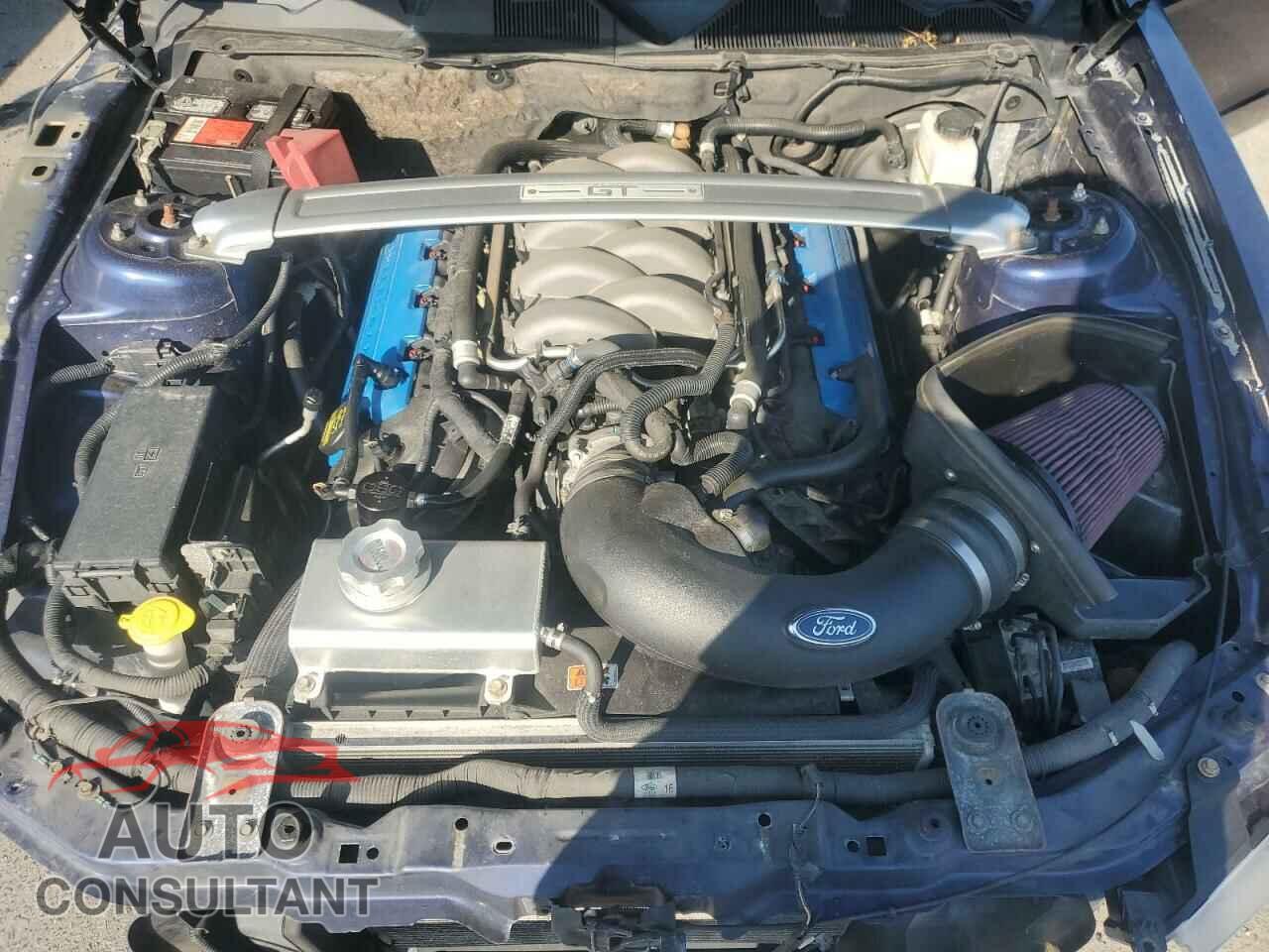 FORD MUSTANG 2011 - 1ZVBP8CFXB5134973