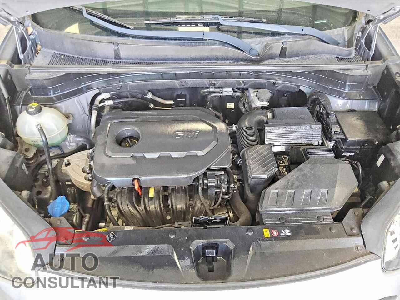 KIA SPORTAGE 2019 - KNDPMCAC9K7622944