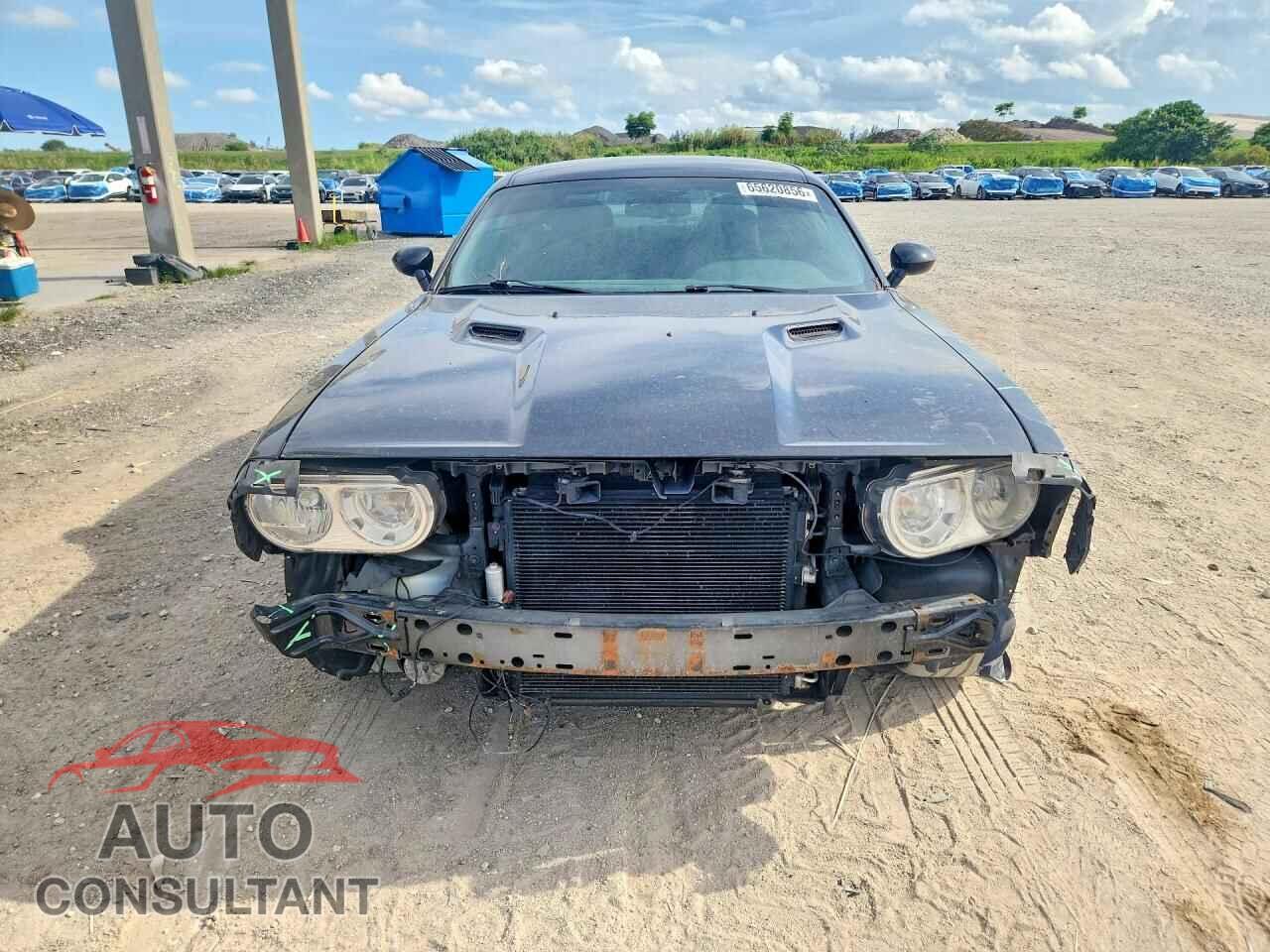 DODGE CHALLENGER 2013 - 2C3CDYAG1DH610684