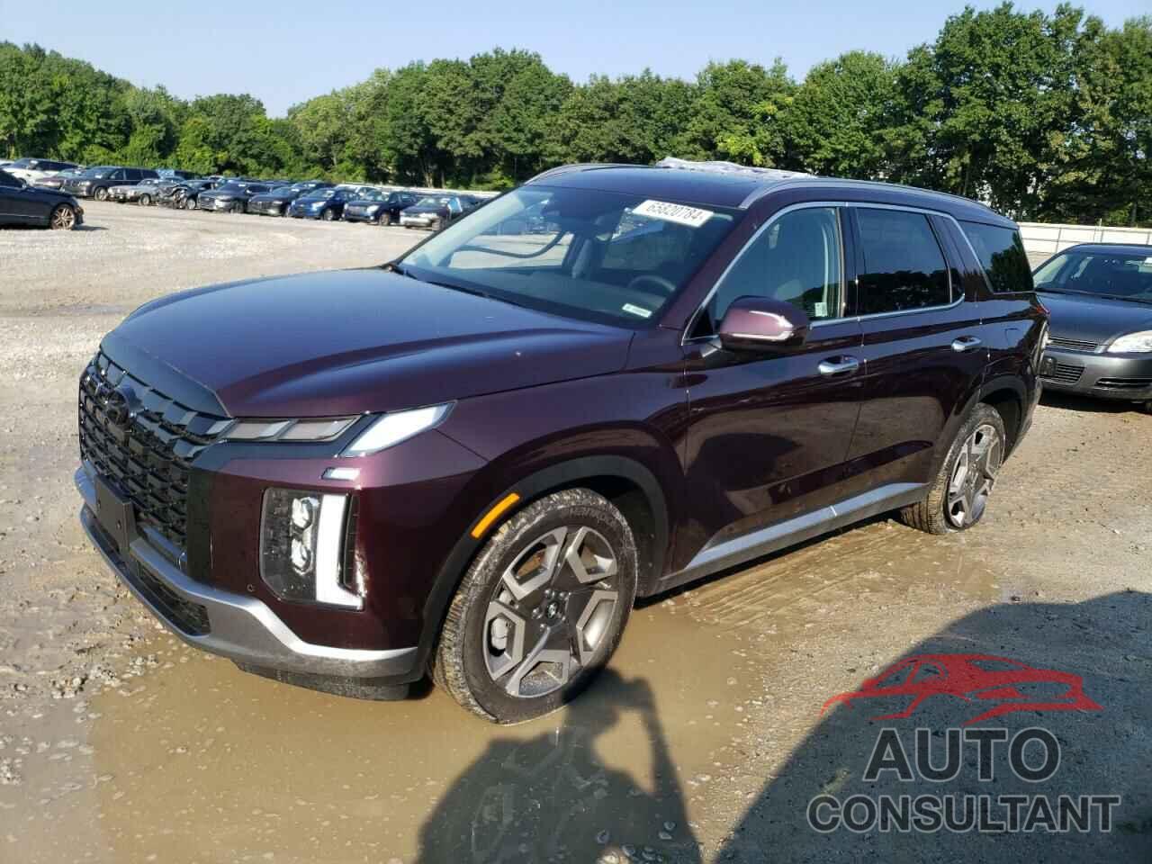 HYUNDAI PALISADE 2024 - KM8R4DGEXRU780482
