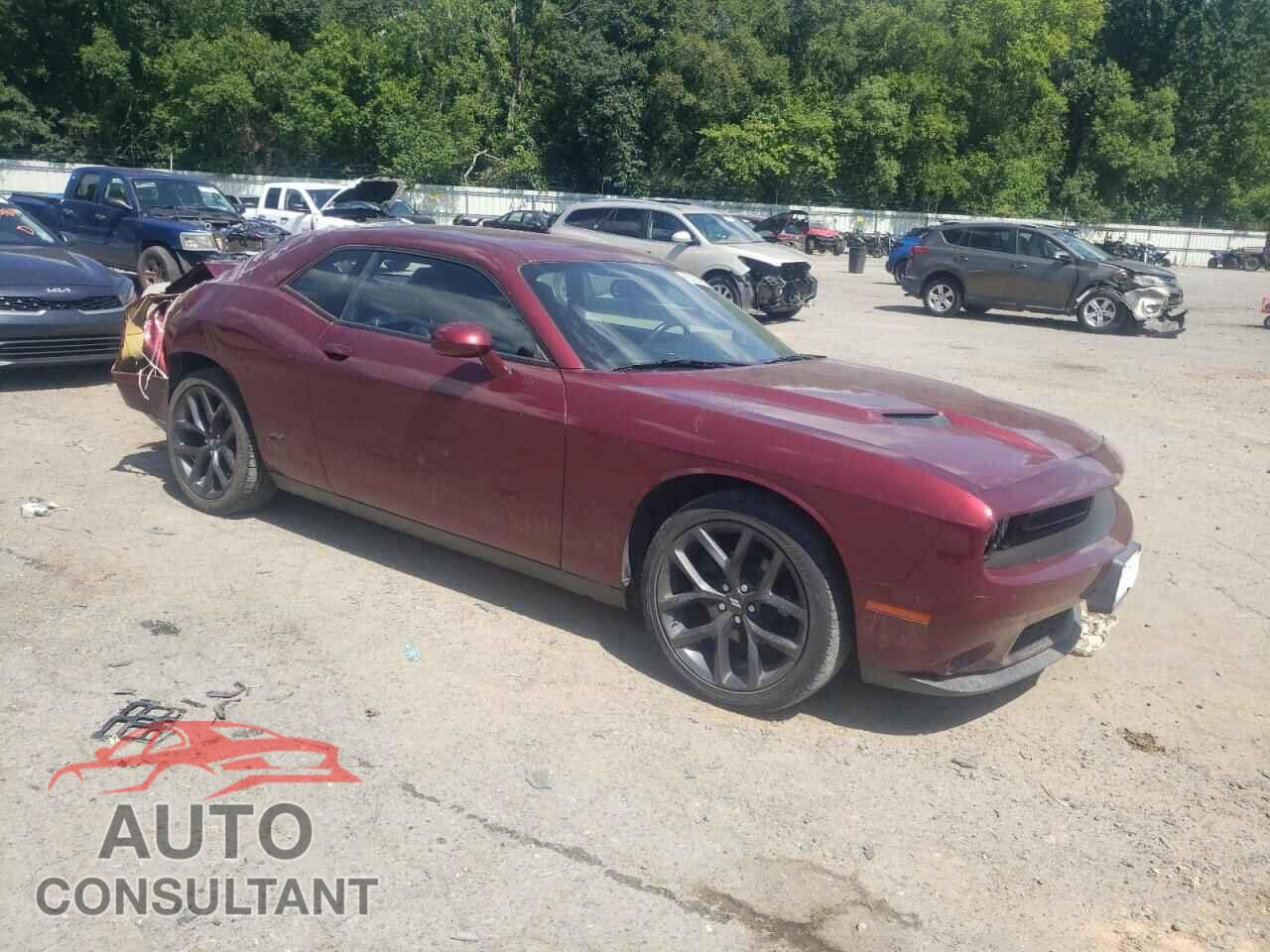 DODGE CHALLENGER 2019 - 2C3CDZAGXKH501739