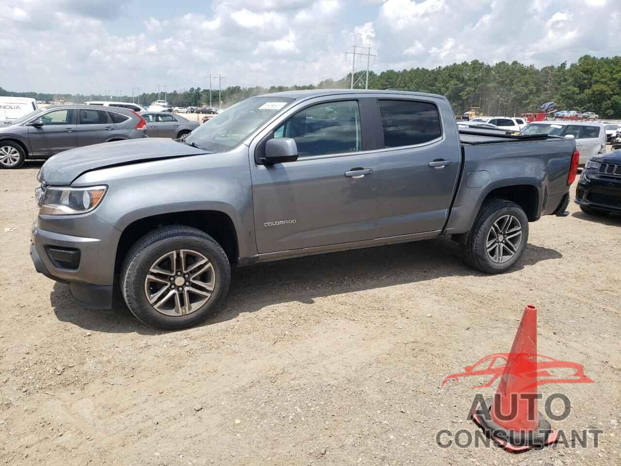 CHEVROLET COLORADO 2019 - 1GCGSCEN3K1302751