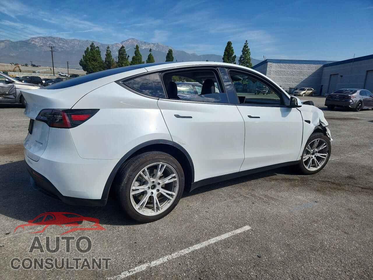 TESLA MODEL Y 2024 - 7SAYGAEE5RF059930