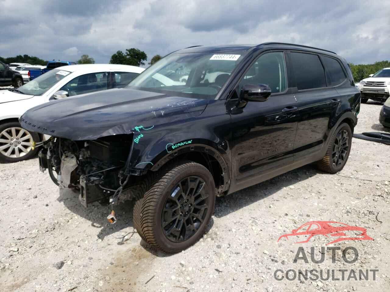 KIA TELLURIDE 2021 - 5XYP5DHCXMG169609