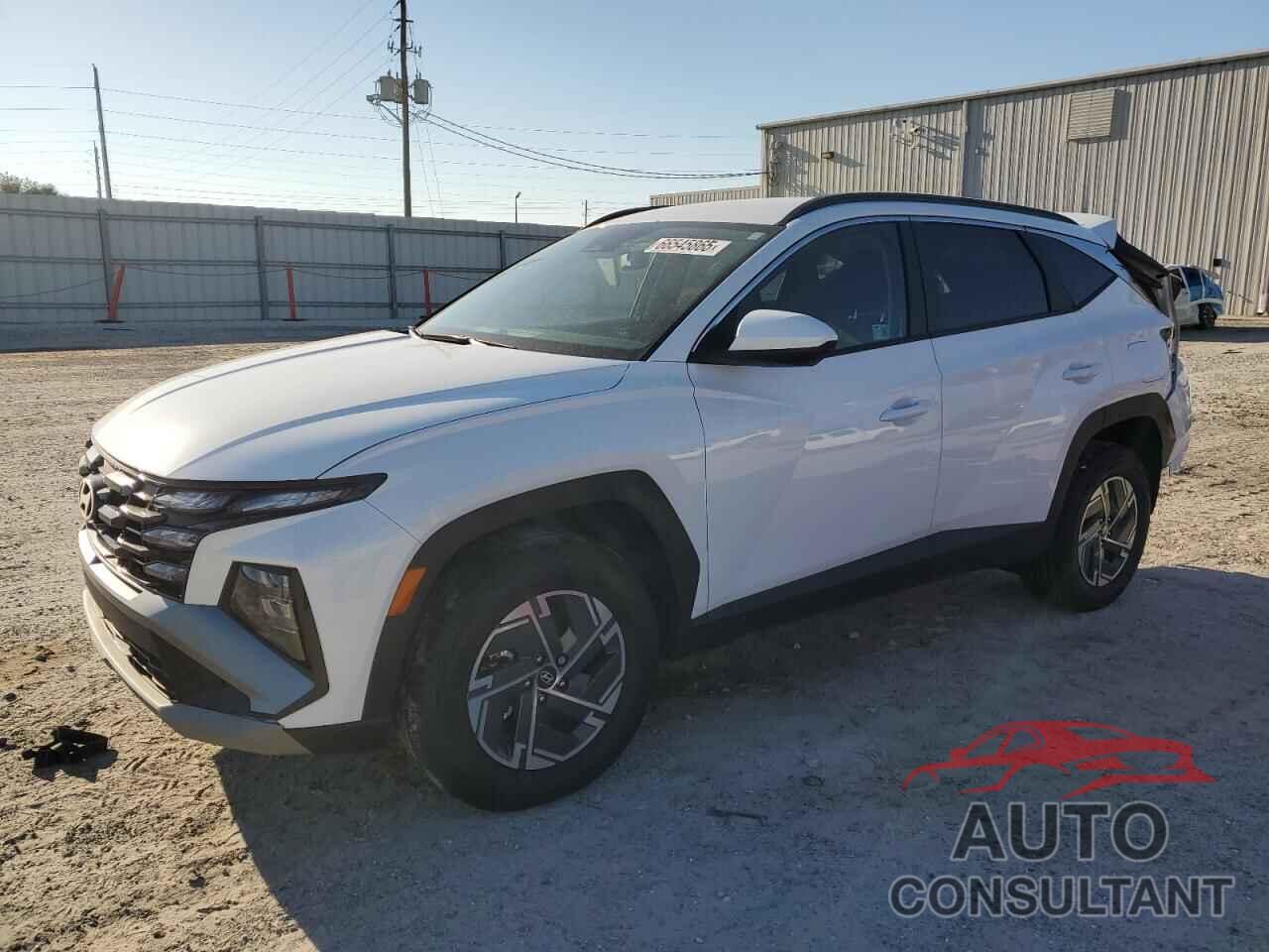 HYUNDAI TUCSON 2025 - KM8JBDD17SU259892