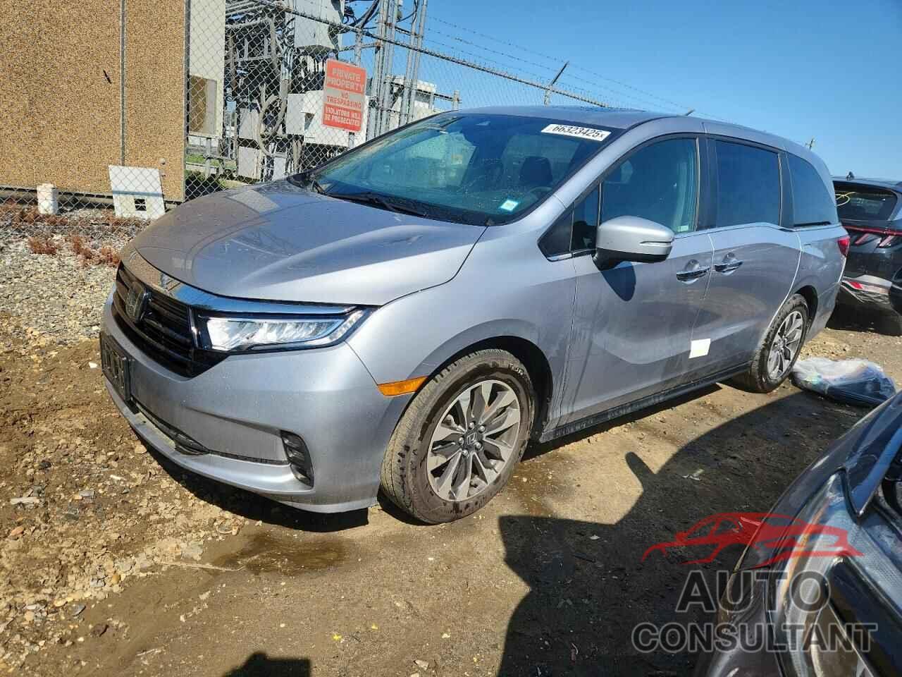 HONDA All Models 2024 - 5FNRL6H64RB047380