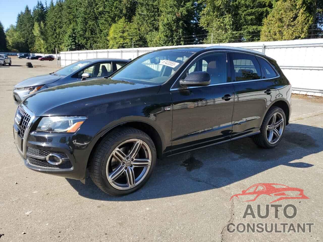 AUDI Q5 2010 - WA1MKAFP6AA060022