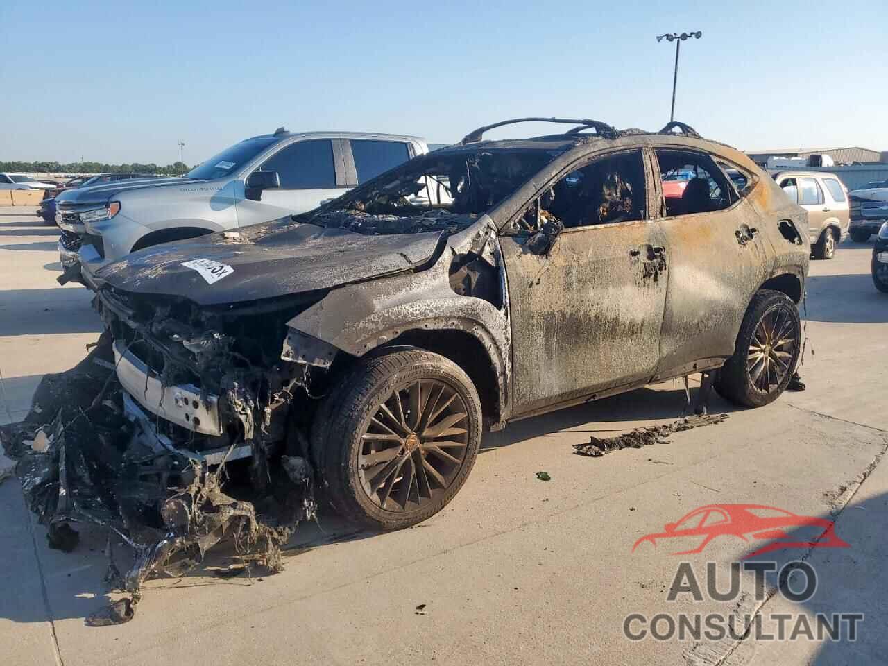 LEXUS NX 350 PRE 2025 - 2T2GGCEZ0SC069553