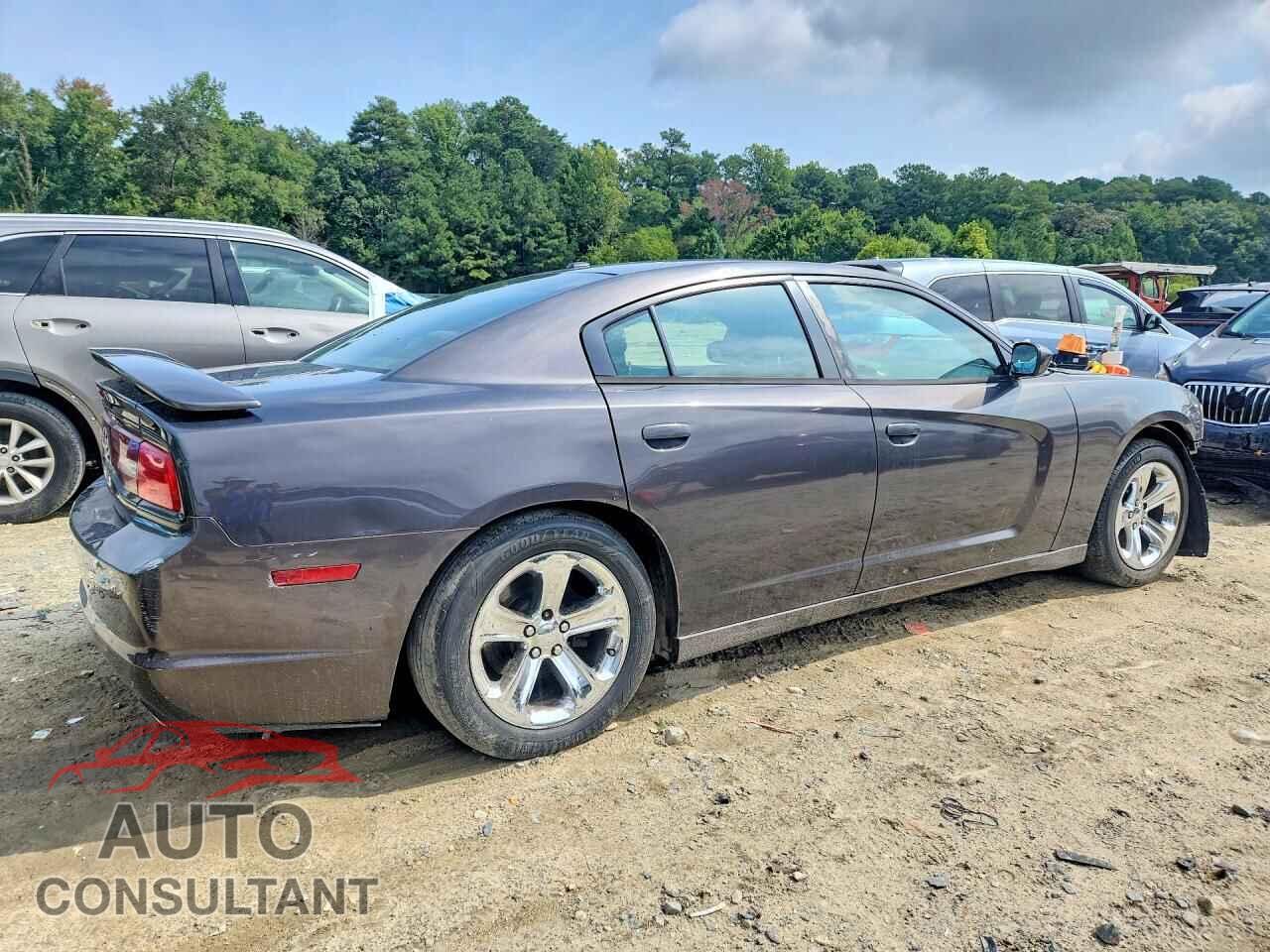 DODGE CHARGER 2014 - 2C3CDXBG6EH145541