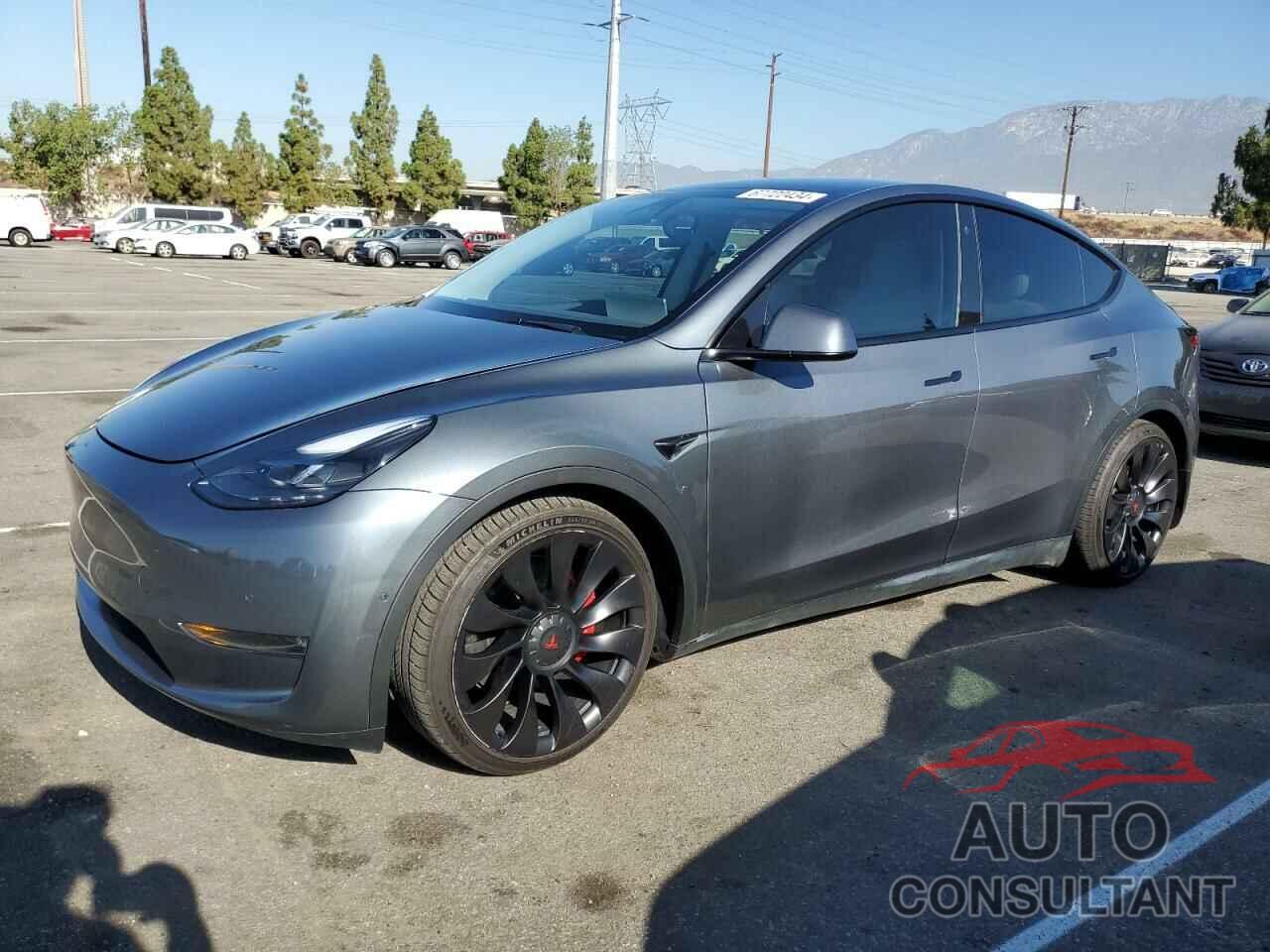 TESLA MODEL Y 2022 - 7SAYGDEF6NF438651