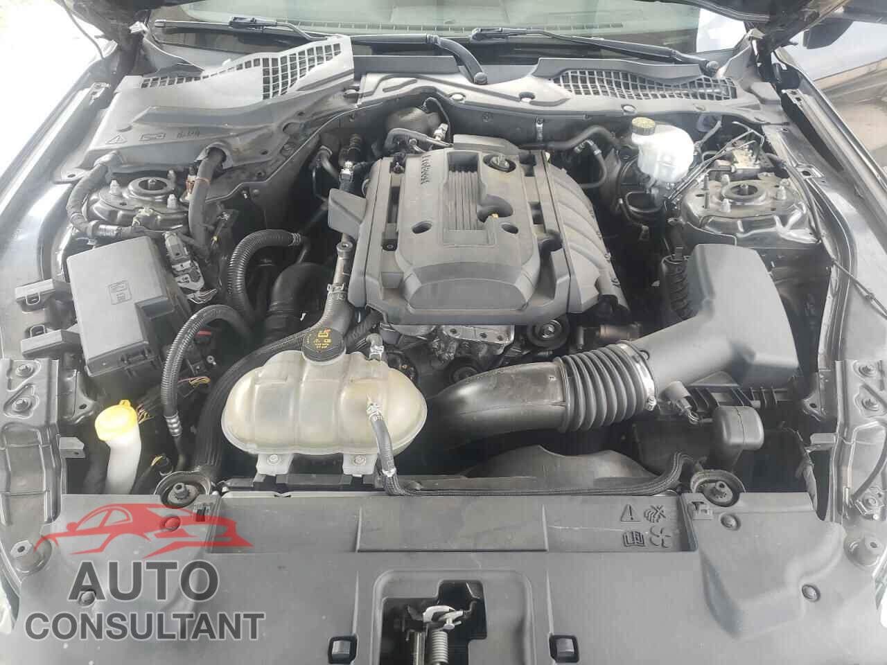 FORD ALL Models 2019 - 1FA6P8TH3K5132199
