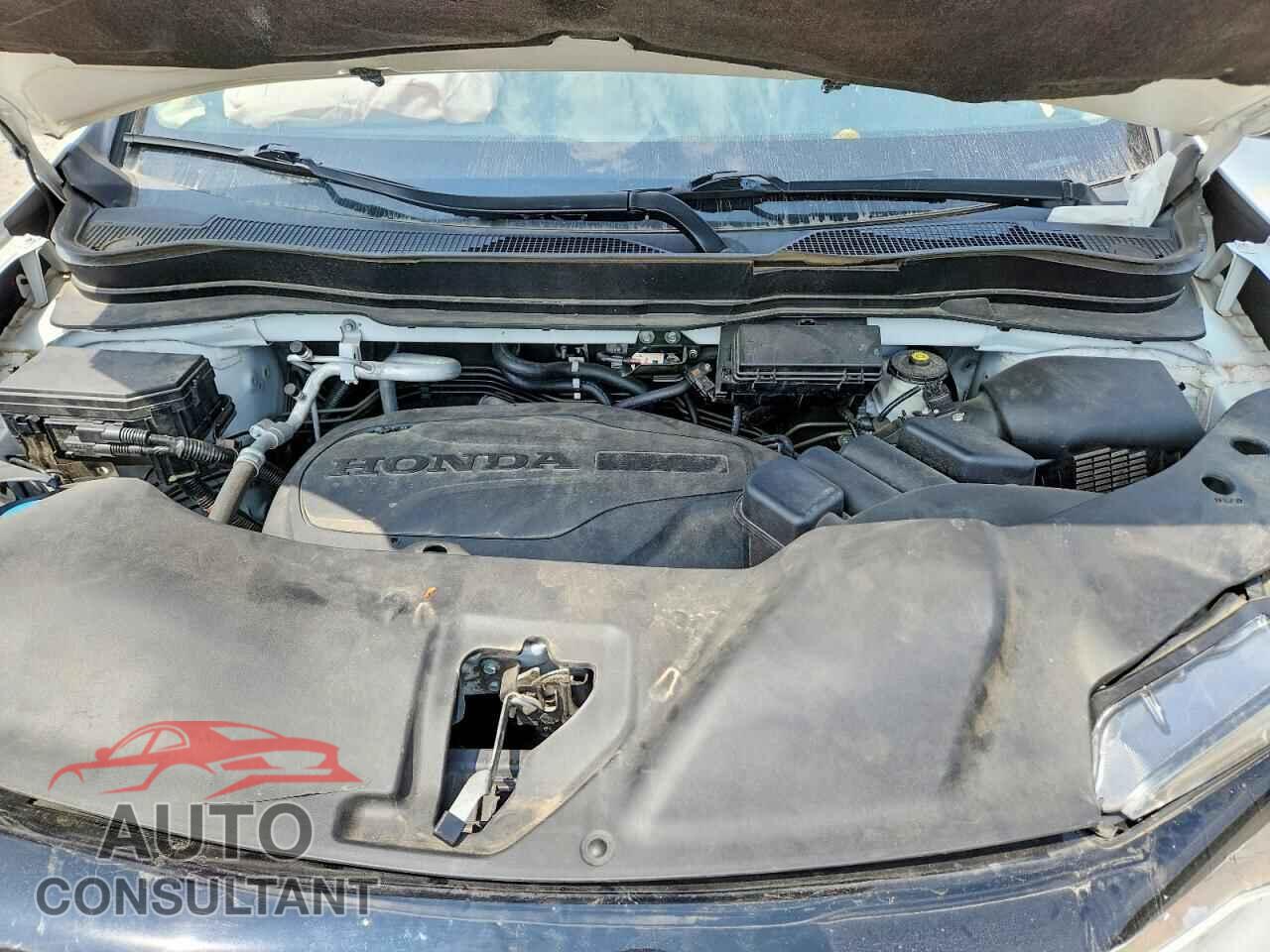 HONDA PILOT 2021 - 5FNYF5H29MB009274
