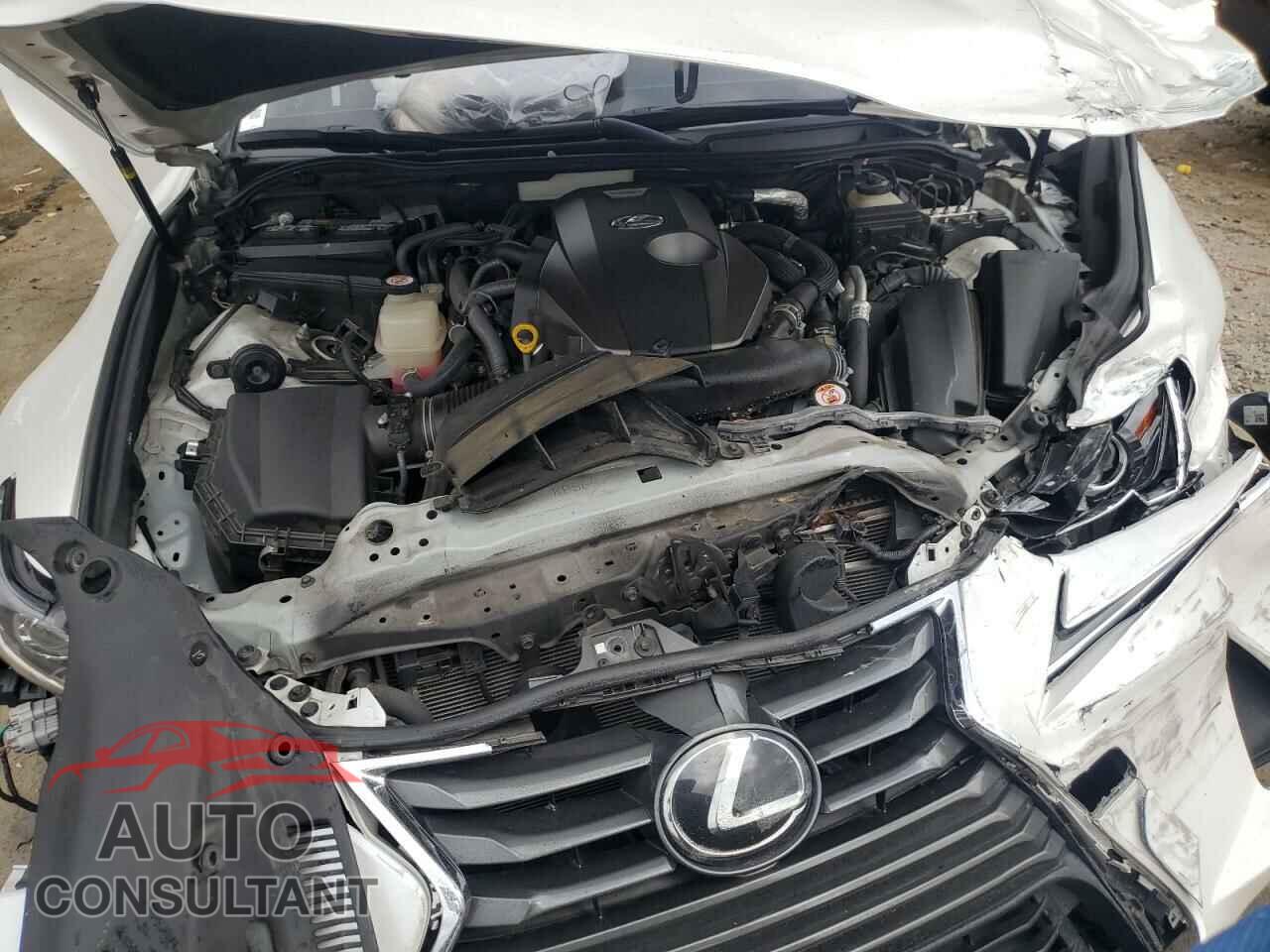 LEXUS IS 2019 - JTHBA1D28K5090834