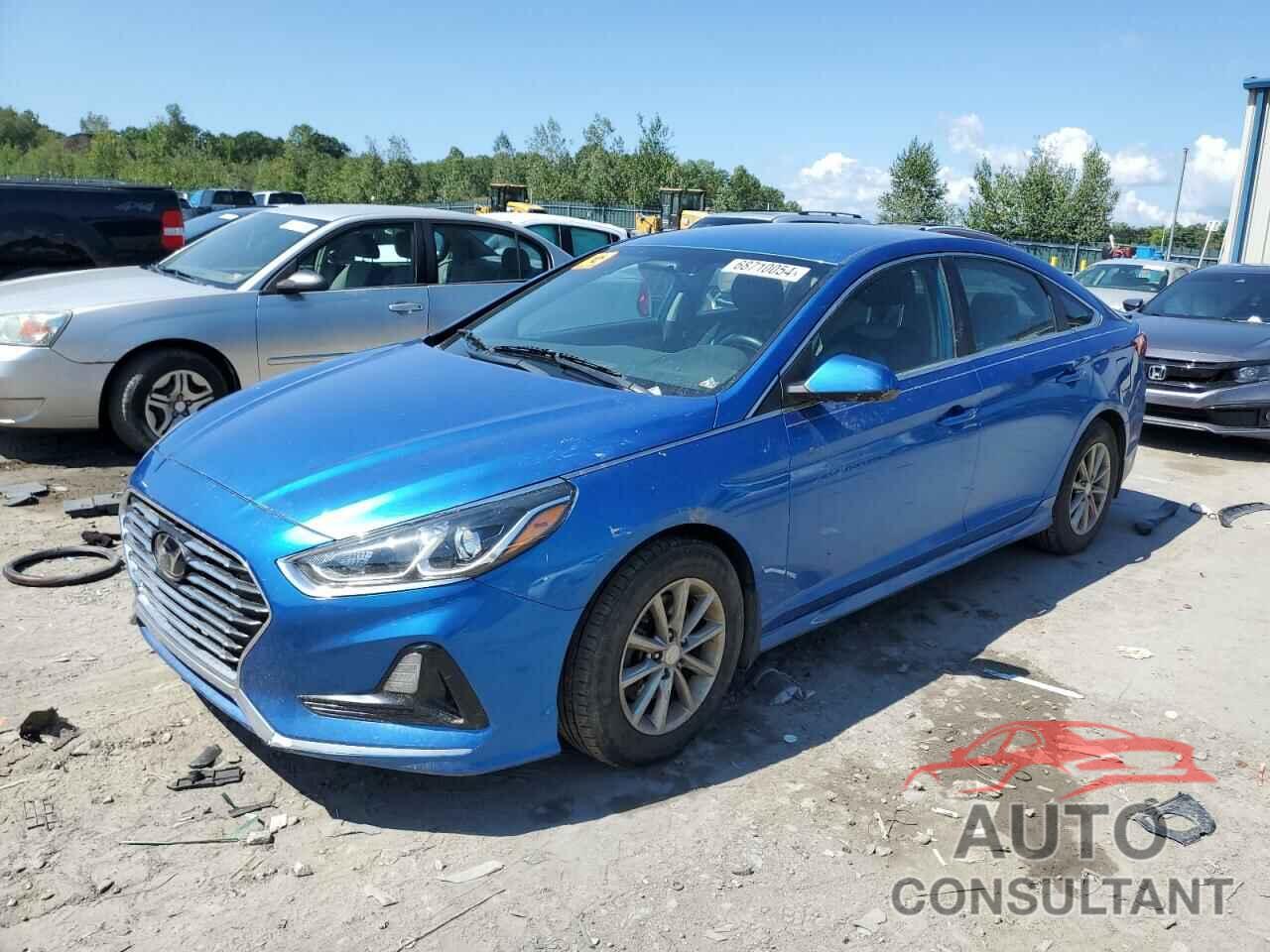 HYUNDAI SONATA 2019 - 5NPE24AF1KH735067