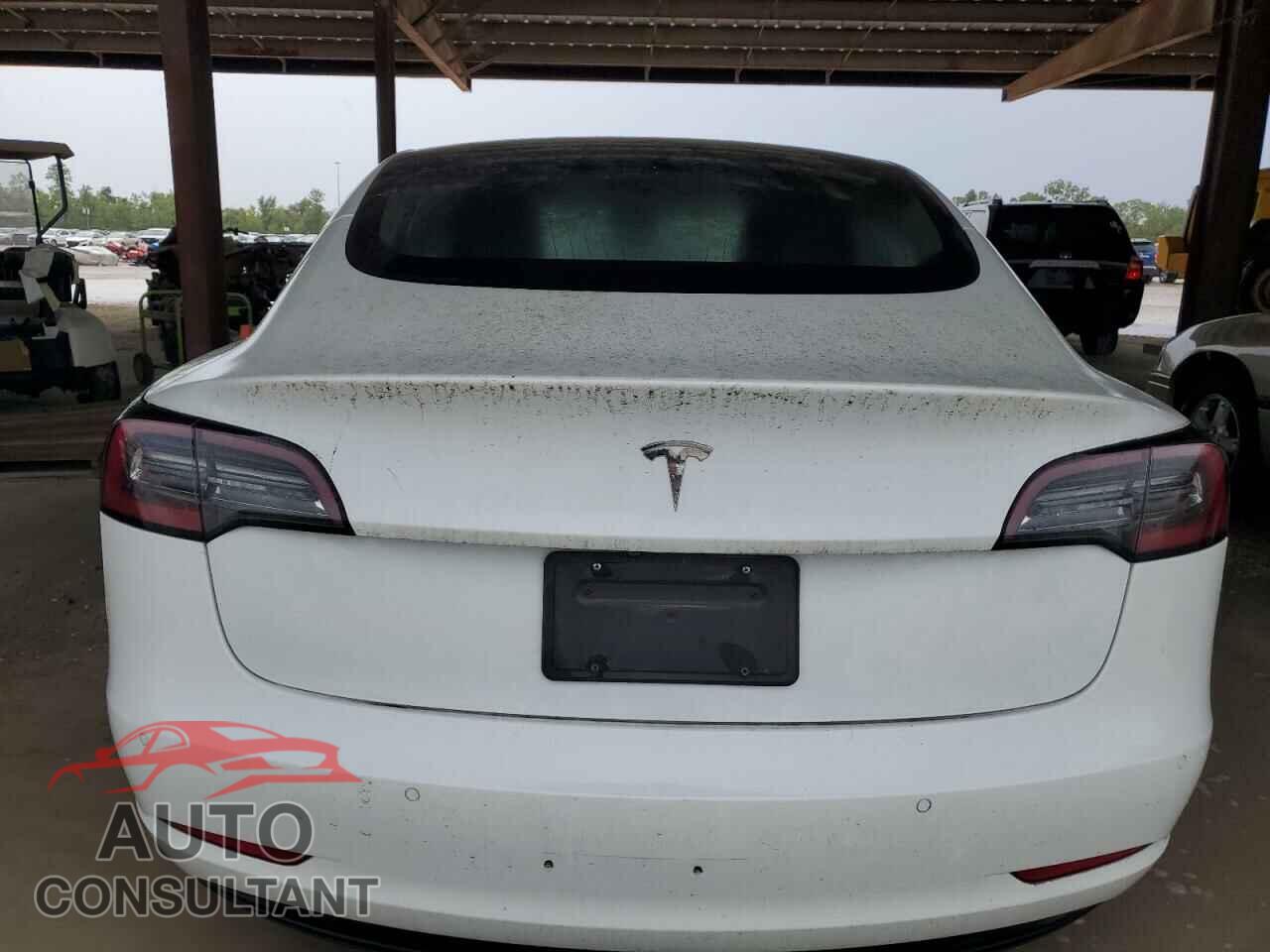 TESLA MODEL 3 2020 - 5YJ3E1EA3LF706763