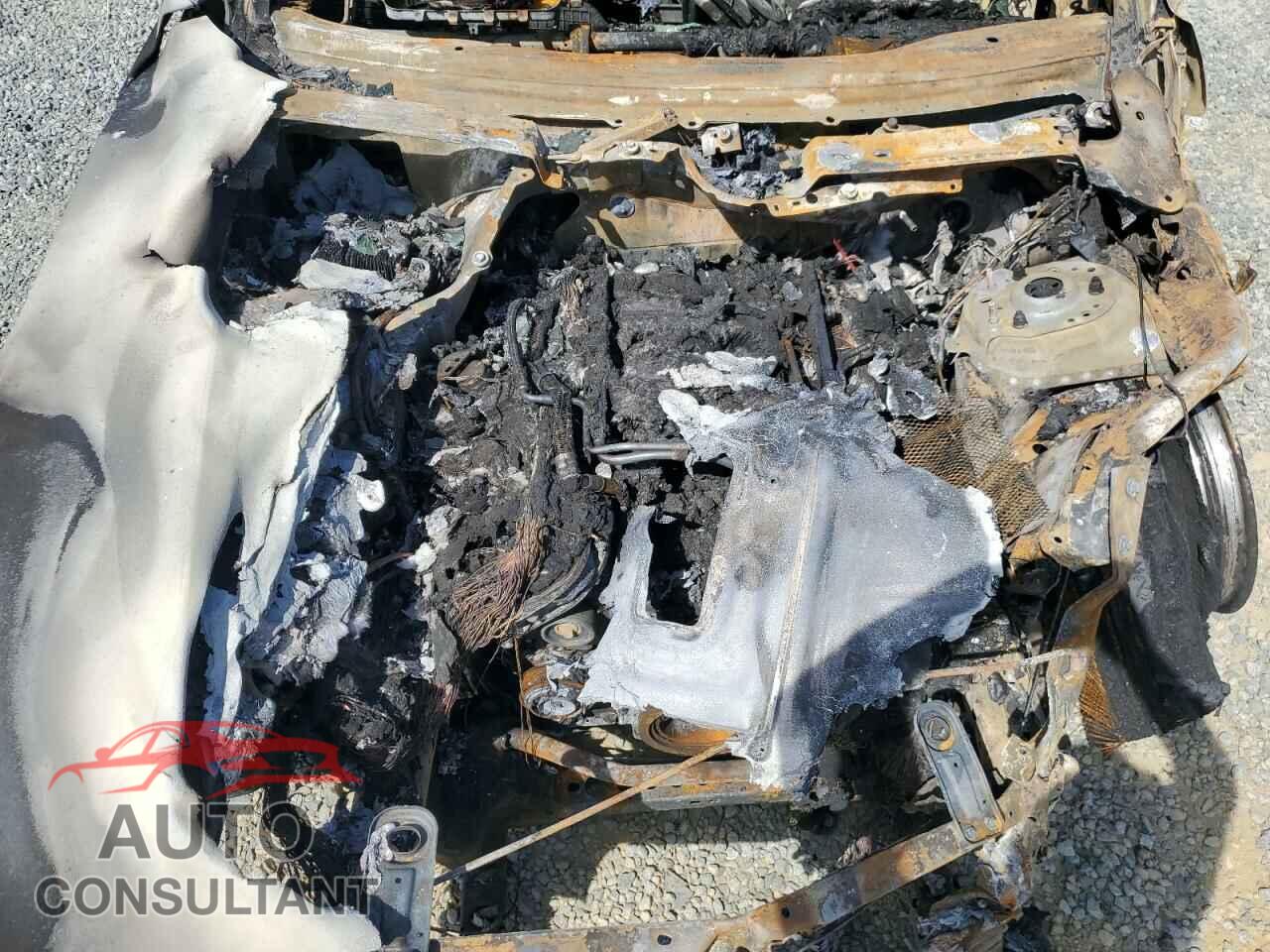 FORD MUSTANG 2020 - 1FA6P8CF2L5190644