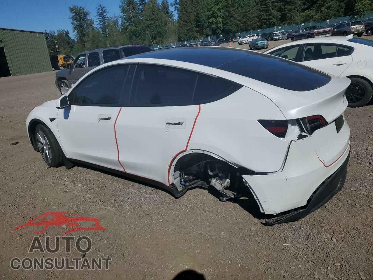 TESLA MODEL Y 2024 - 7SAYGDEE5RF047147