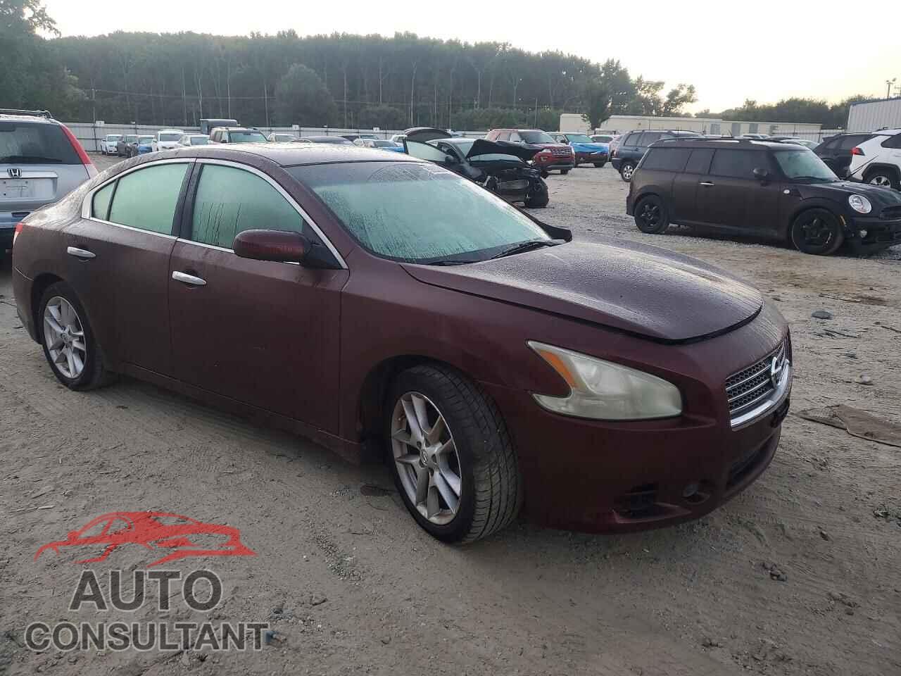 NISSAN MAXIMA 2011 - 1N4AA5APXBC856892