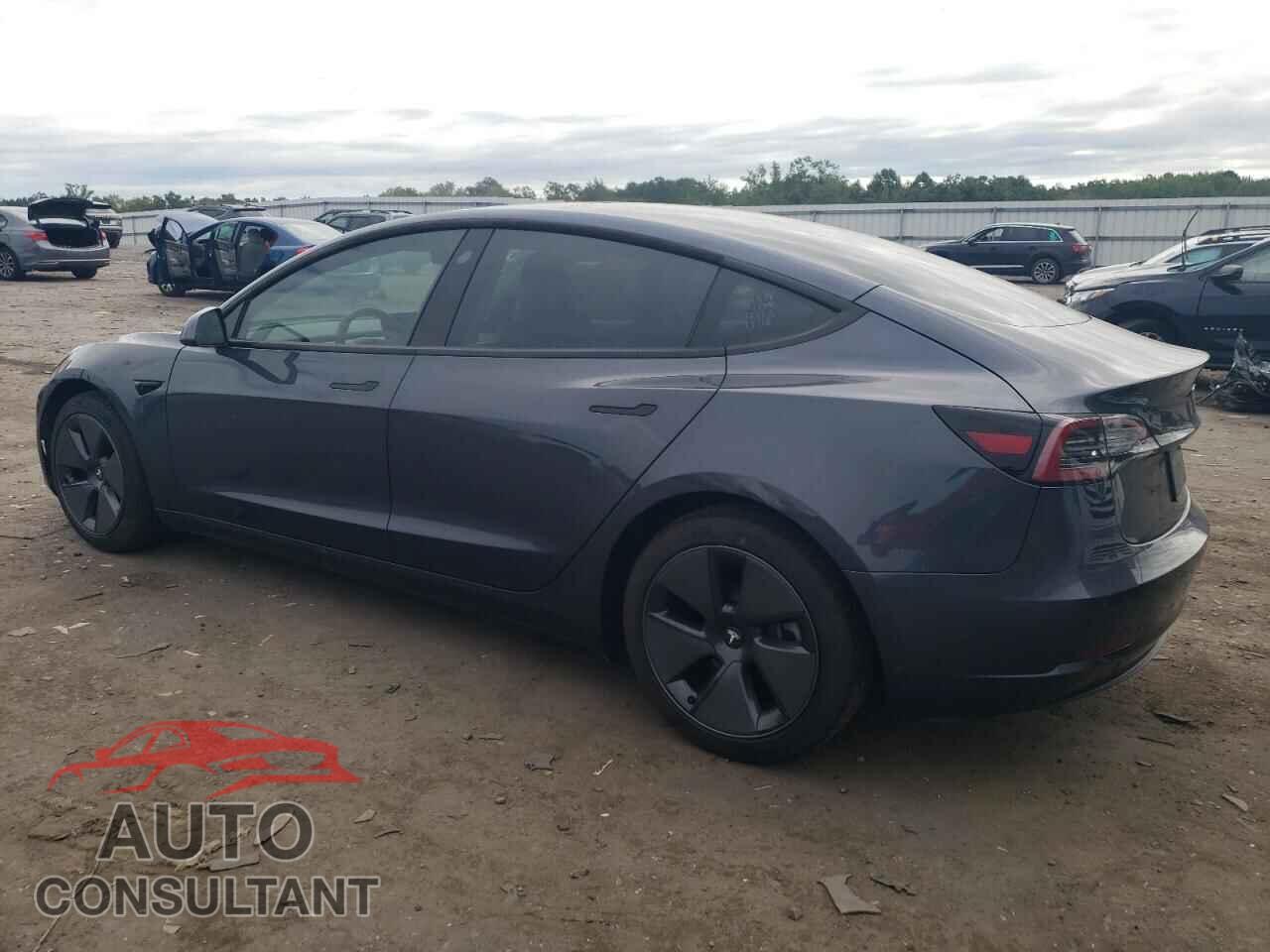 TESLA MODEL 3 2021 - 5YJ3E1EA7MF989069