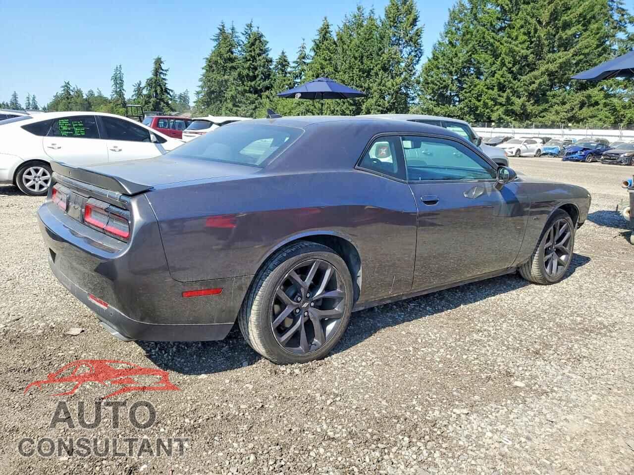 DODGE CHALLENGER 2019 - 2C3CDZBT7KH666532